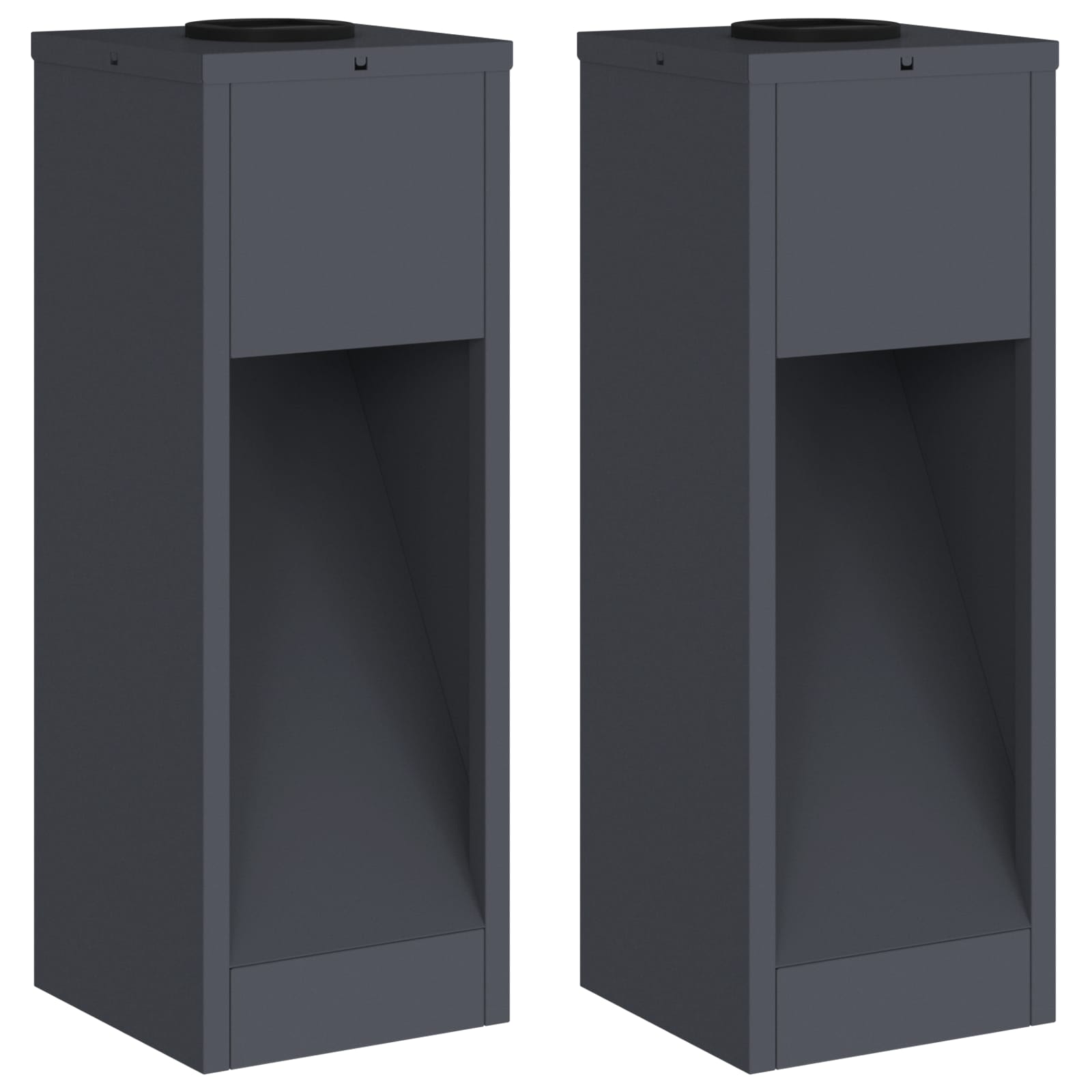 Zonne LED Padverlichting 2 pcs Antraciet Koudgewalst staal
