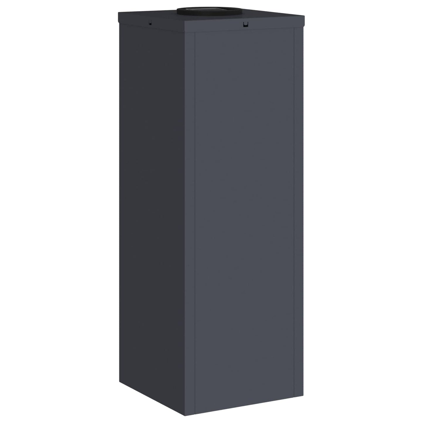 Zonne LED Padverlichting 2 pcs Antraciet Koudgewalst staal