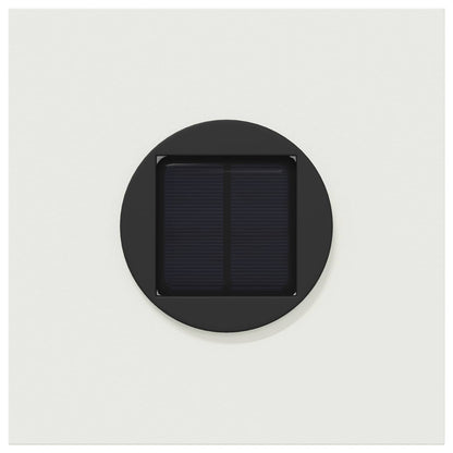Solar LED Pad Licht 2 pcs Wit Koudgewalst staal