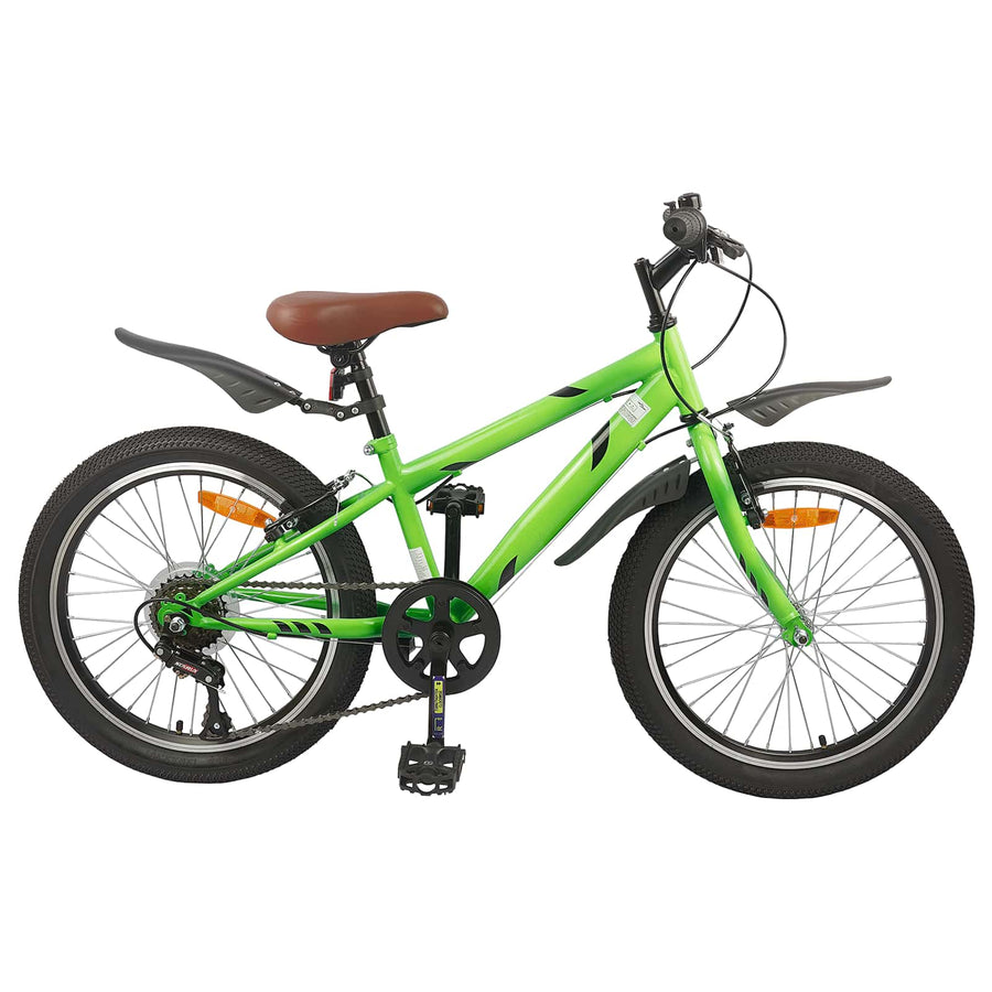 Kinderfiets 20 Inch 6-Speed voor 6-11 jaar oud Groen