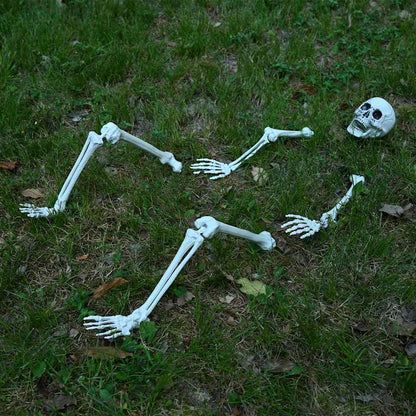 Halloween Skelet Wit 45,5 x 13 cm Kunststof