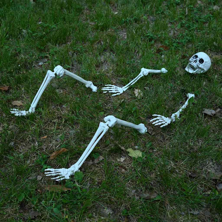 Halloween Skelet Wit 45,5 x 13 cm Kunststof