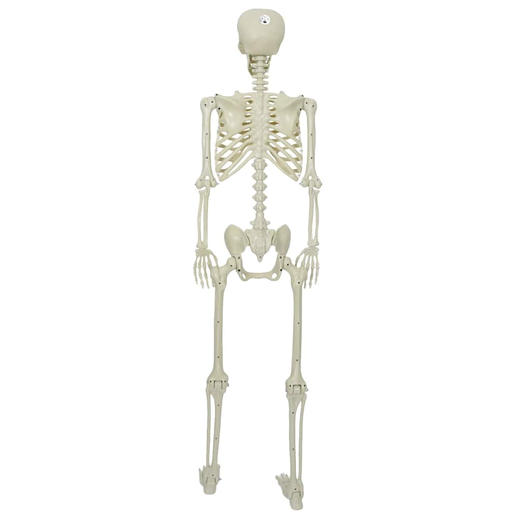 Halloween Skelet Wit 155 x 38.5 cm Kunststof