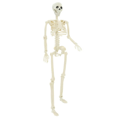 Halloween Skelet 2 pcs Wit 85 cm PVC