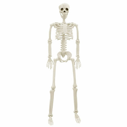 Halloween Skelet 2 pcs Wit 85 cm PVC