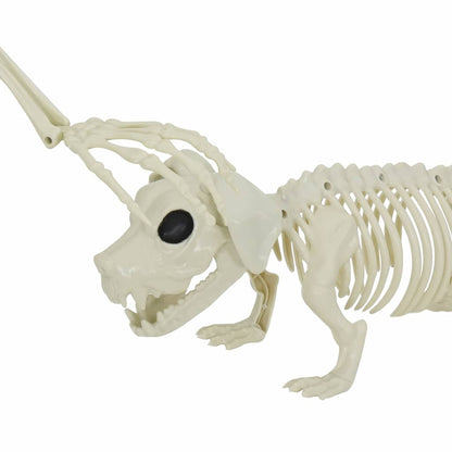 Halloween Decoratie Skelet 2 pcs Wit Polypropyleen