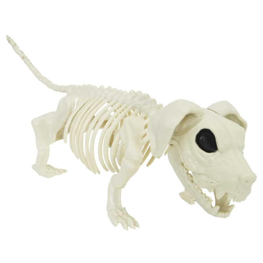 Halloween Decoratie Skelet 2 pcs Wit Polypropyleen