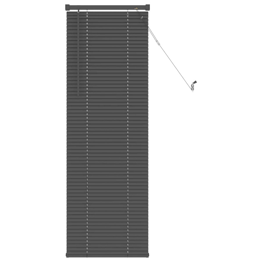 Venetiaanse Blind Verstelbaar Zilvergrijs 150 x 50 cm PVC