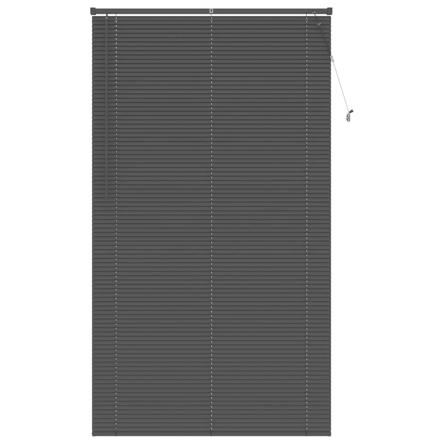 Venetiaanse Blind Verstelbaar Zilvergrijs 213 x 110 cm PVC