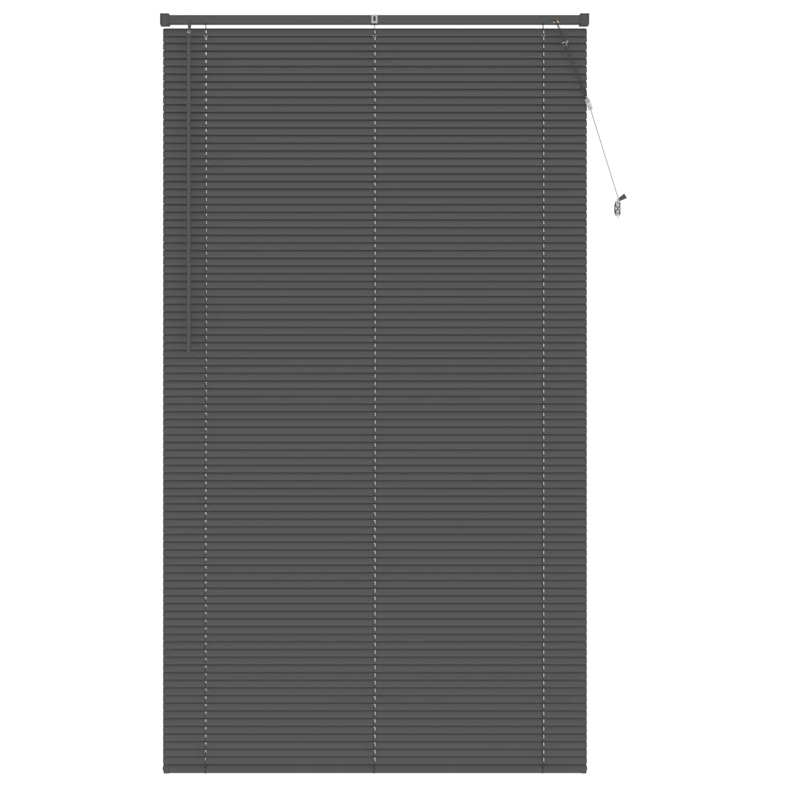 Venetiaanse Blind Verstelbaar Zilvergrijs 213 x 120 cm PVC
