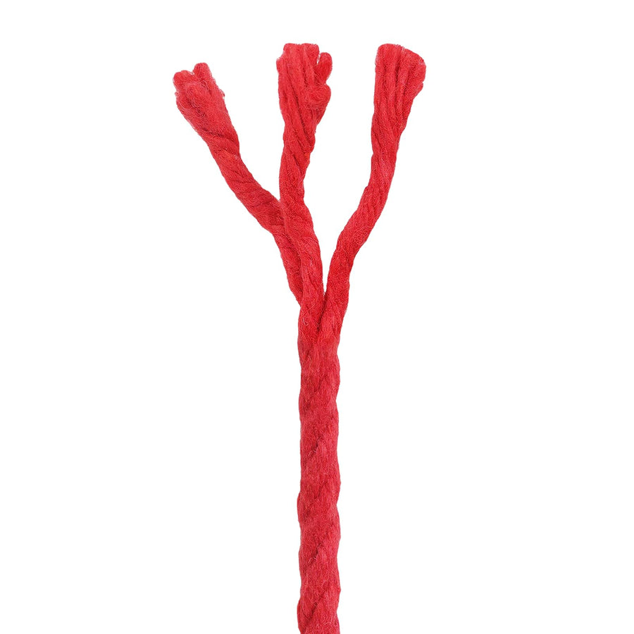Touw 2 pcs Rood Katoen