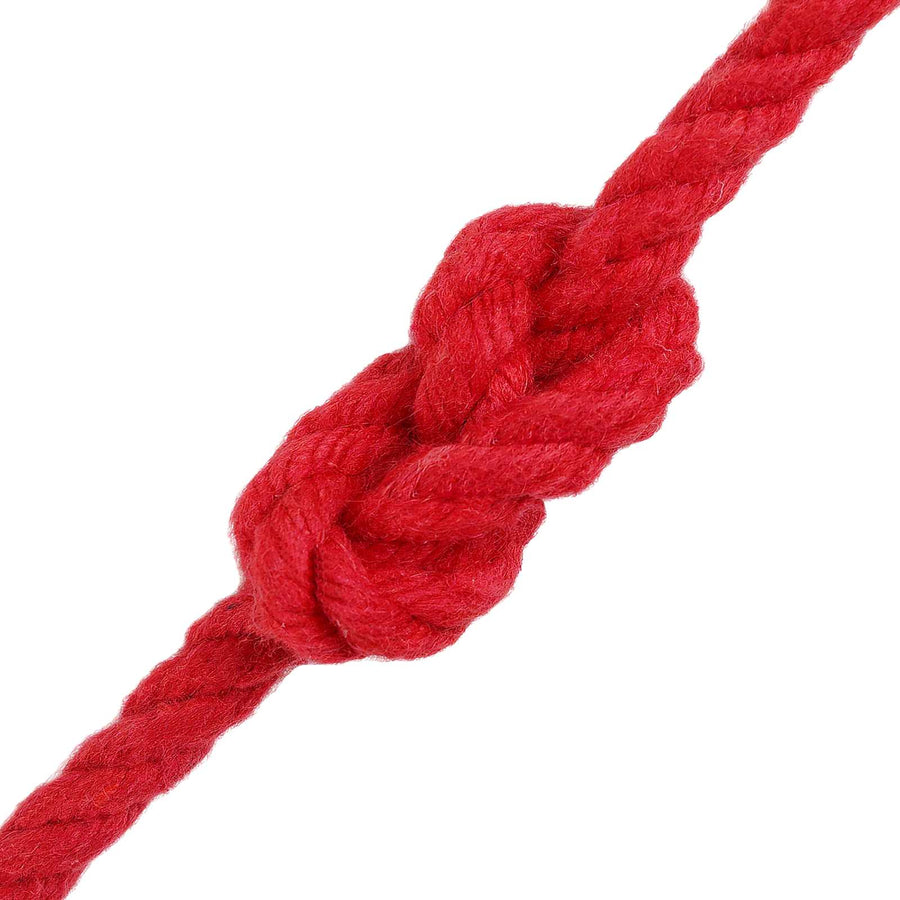 Touw Rood 0,4 x 0,4 x 5000 cm Katoen