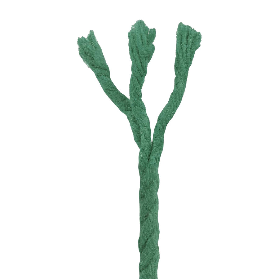 Katoen Touw 2 st 2 mm 100 m Groen 100% Katoen
