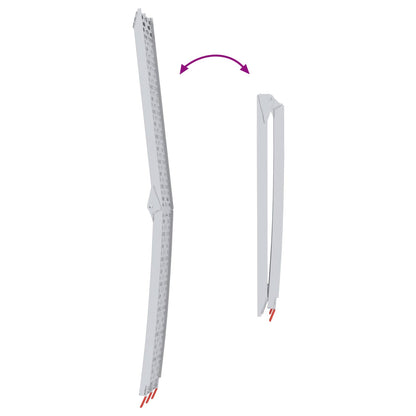 Laad Ramp 2 pcs Zilver 222 x 29 x 14 cm Aluminium