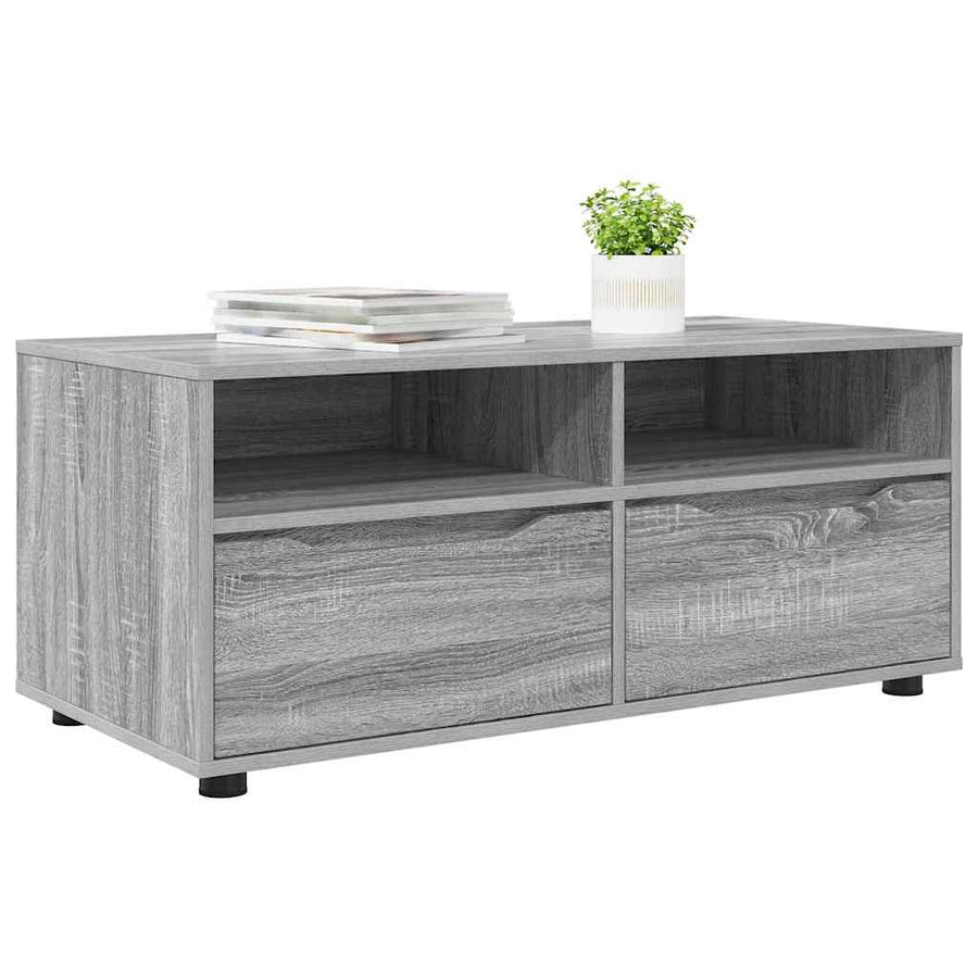 TV-kast met lade Grijs Sonoma 100 x 48 x 43 cm Bewerkt hout