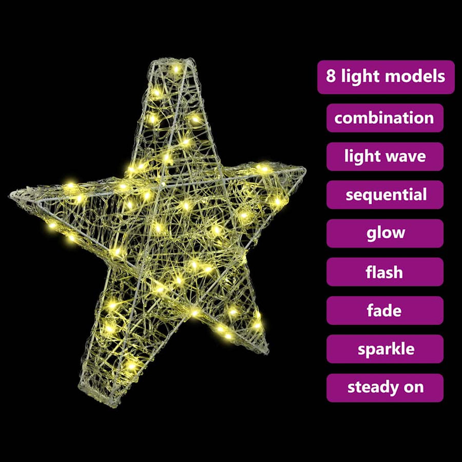 3D Ster met 50 LED Warmwit 55 x 53,5 x 10 cm Acryl