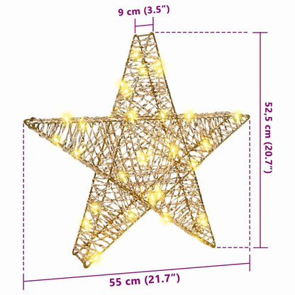 3D Ster met 50 LED Warmwit 55 x 52.5 x 9 cm PET