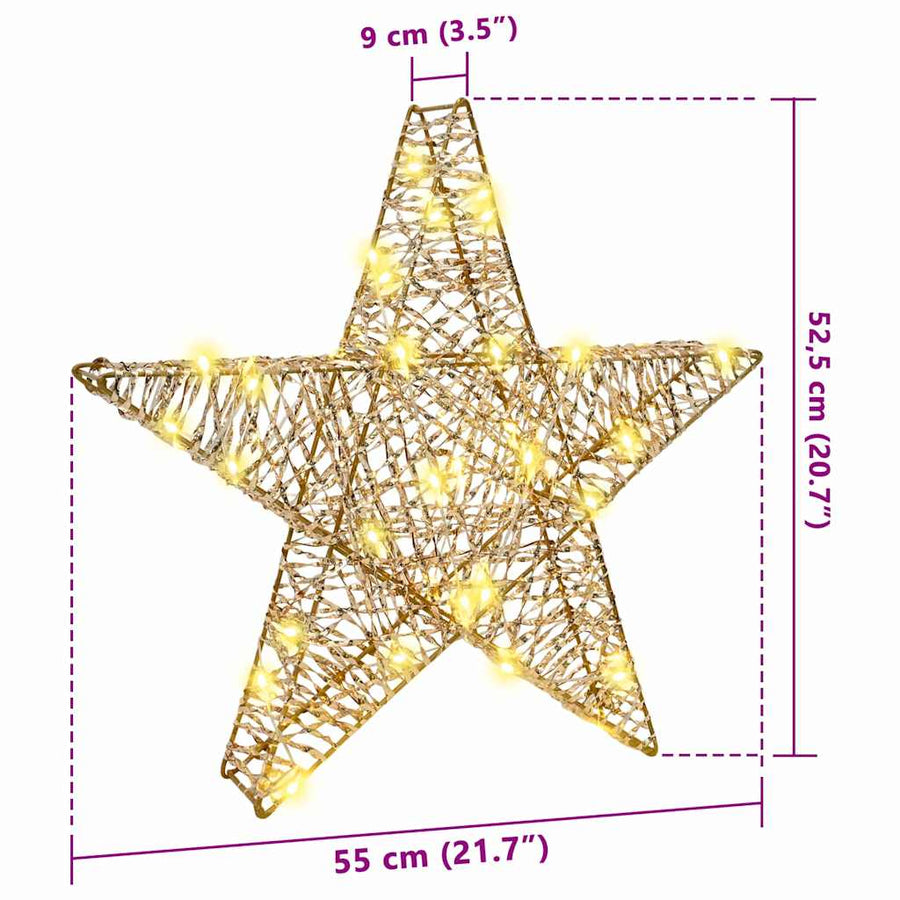 3D Ster met 50 LED Warmwit 55 x 52.5 x 9 cm PET