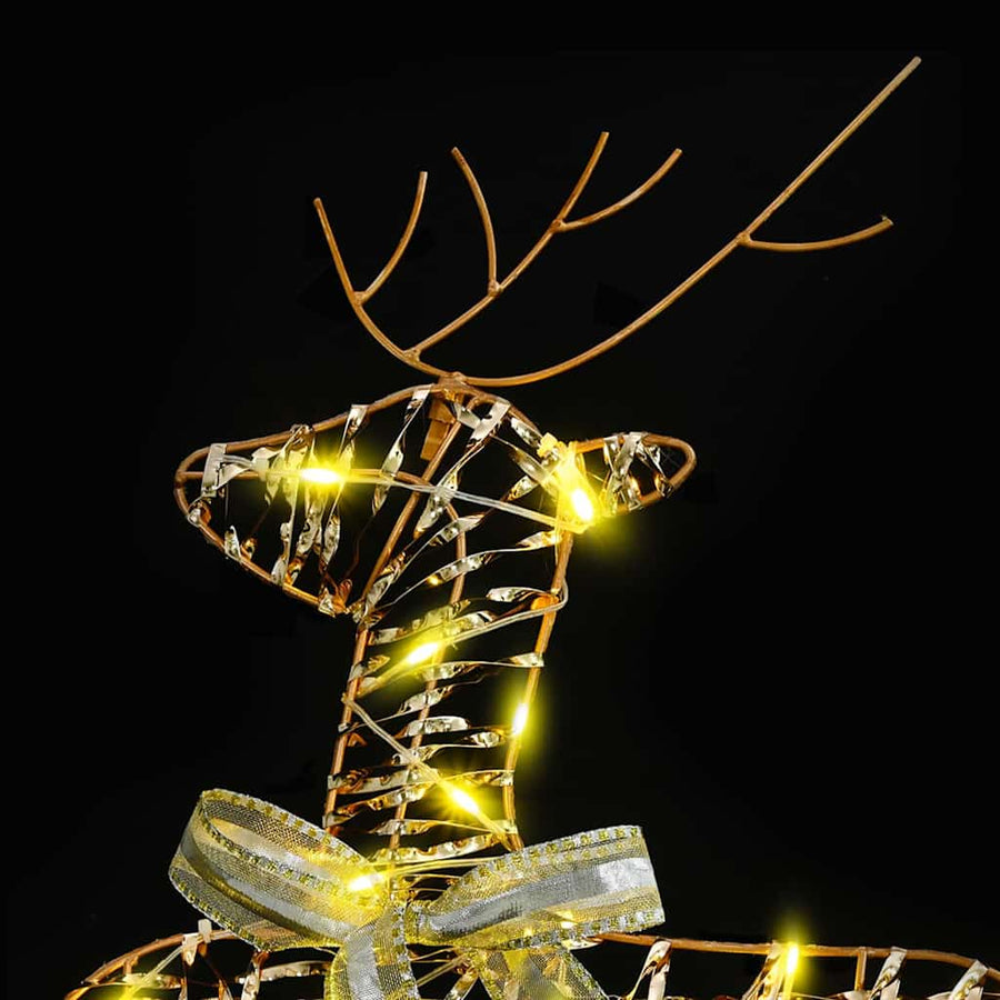 LED Rendieren met 40 LED 2 pcs Warmwit 64 x 42 x 15 cm PET