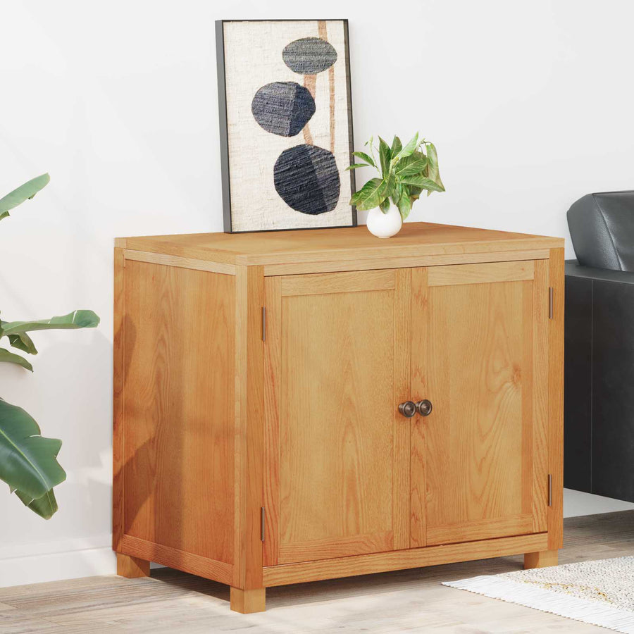 Kast met opslag met de deur Bruin Bewerkt hout