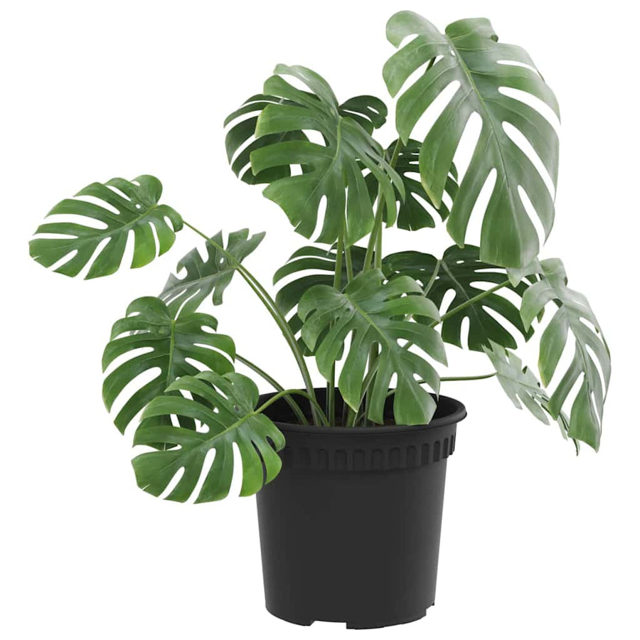 Ronde Bloempot 6 pcs Zwart Ø 15 x 12 cm Kunststof