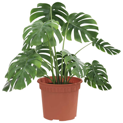 Ronde Bloempot 24 pcs Baksteenrood Ø 12,5 x 10 cm Kunststof