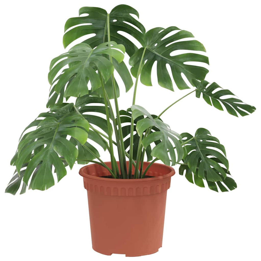 Ronde Bloempot 24 pcs Baksteenrood Ø 12,5 x 10 cm Kunststof