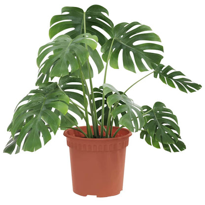 Ronde Bloempot 24 pcs Baksteenrood Ø 15 x 12 cm Kunststof