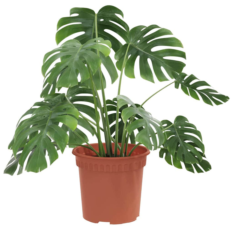 Ronde Bloempot 24 pcs Baksteenrood Ø 15 x 12 cm Kunststof