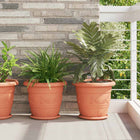 Round Flowerpot 6 pcs Brick Red Ø 26 x 21.5 cm Plastic