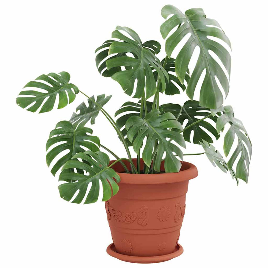 Ronde Bloemenschalen 6 pcs Baksteenrood Ø 14 x 2 cm Kunststof