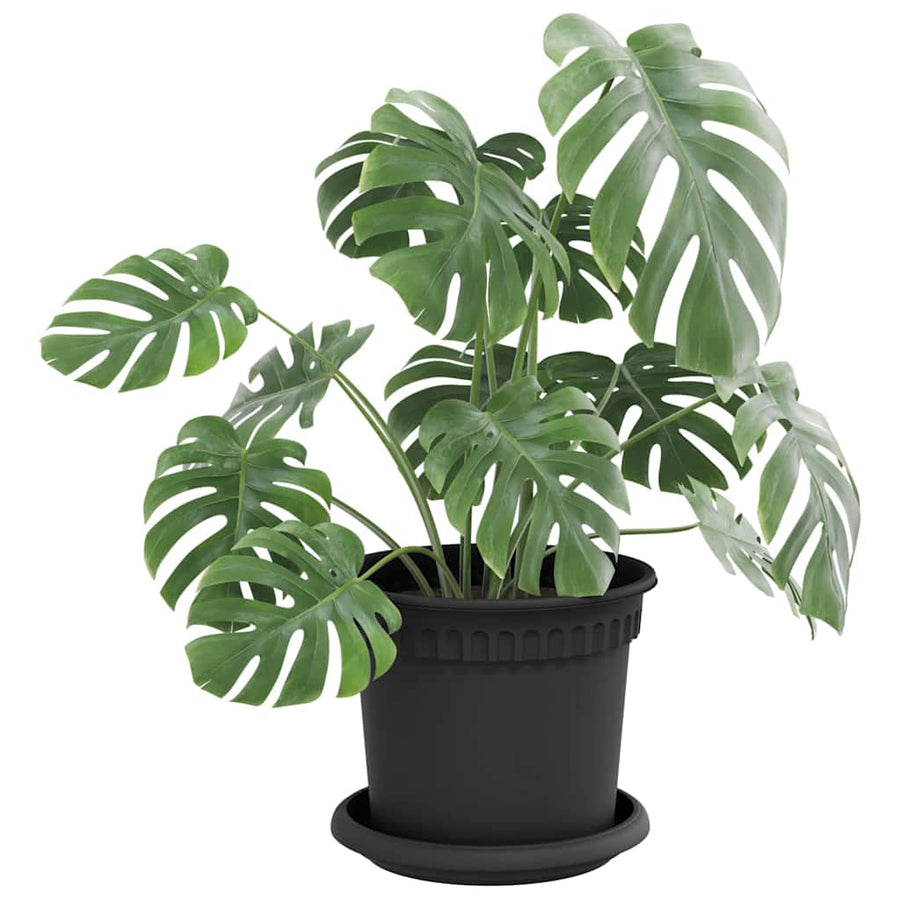Ronde Bloemenschalen 6 pcs Zwart Ø 14 x 2 cm Kunststof