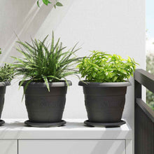 Ronde Bloemenschalen 6 pcs Zwart Ø 14 x 2 cm Kunststof