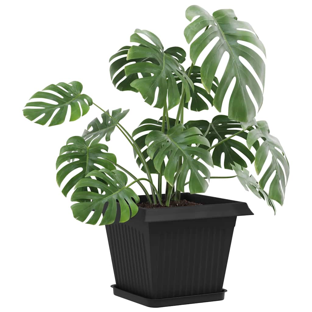 Vierkante Bloemenschotel 6 pcs Zwart 21 x 21 x 2 cm Kunststof