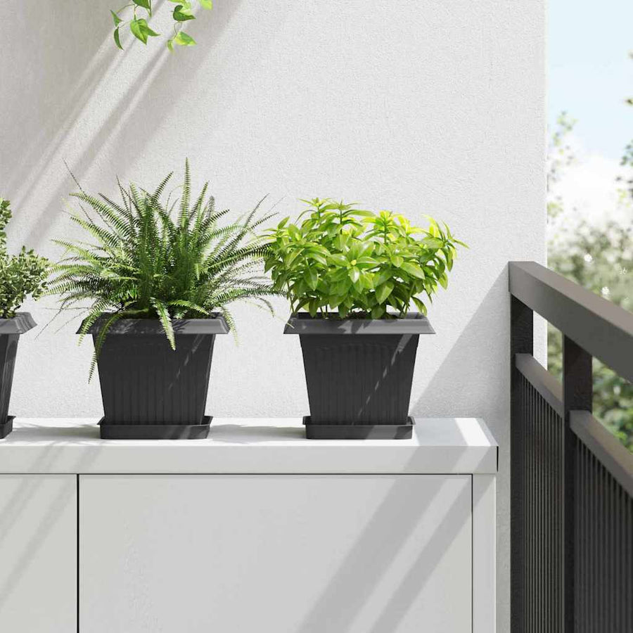 Vierkante Bloemenschotel 24 pcs Zwart 15 x 15 x 2 cm Kunststof