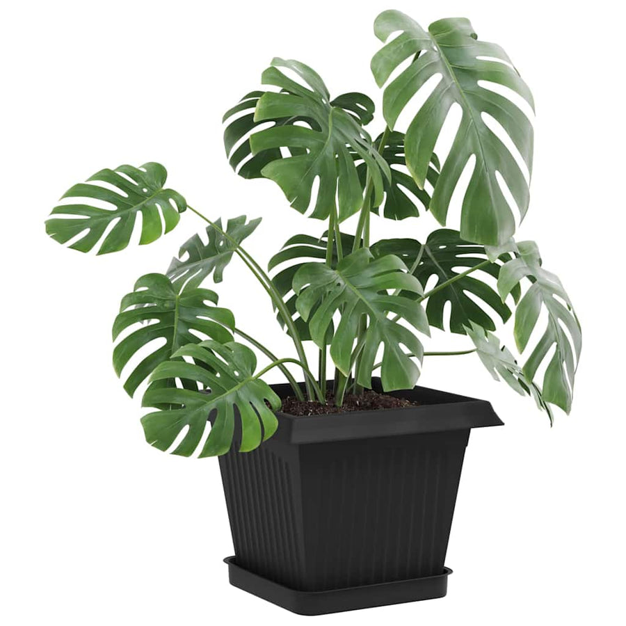 Vierkante Bloemenschotel 24 pcs Zwart 15 x 15 x 2 cm Kunststof