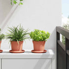 Plantenpotten 6 stuks Ø 12,5 cm baksteenrood kunststof