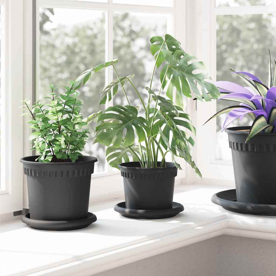 Plantenpotten 6 pcs Zwart Ø 12,5 x 10 cm Kunststof