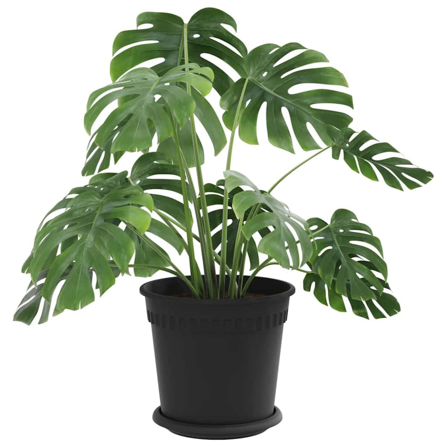 Plantenpotten 6 pcs Zwart Ø 19 x 16 cm Kunststof