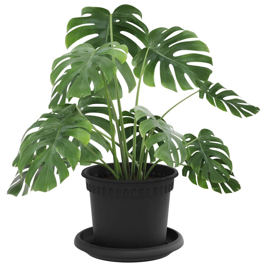 Plantenpotten 24 pcs Zwart Ø 12,5 x 10 cm Kunststof