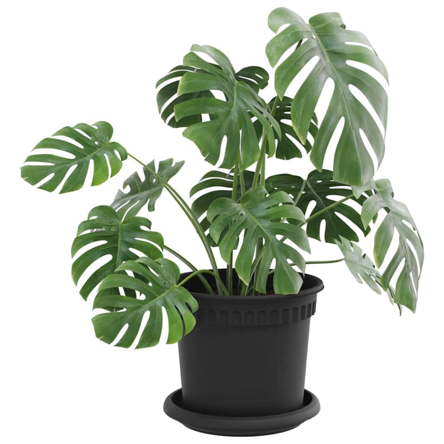 Plantenpotten 24 pcs Zwart Ø 15 x 12 cm Kunststof