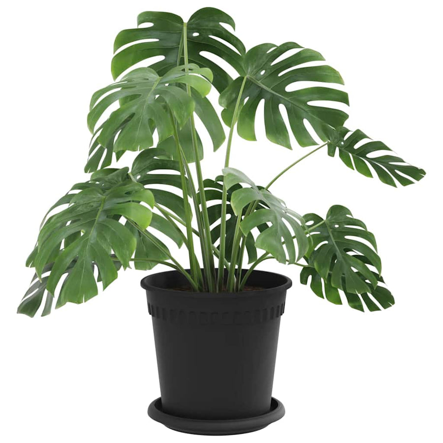 Plantenpotten 24 pcs Zwart Ø 17 x 14 cm Kunststof