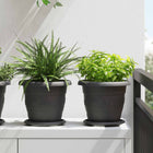 Plant Pots 6 pcs Black Ø 26 x 21.5 cm Plastic