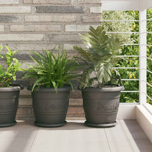Plantenpotten 24 pcs Zwart Ø 26 x 21.5 cm Kunststof