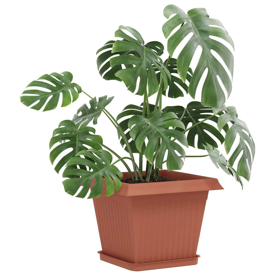 Plantenpotten 6 pcs Baksteenrood 28,5 x 28,5 x 22 cm Kunststof