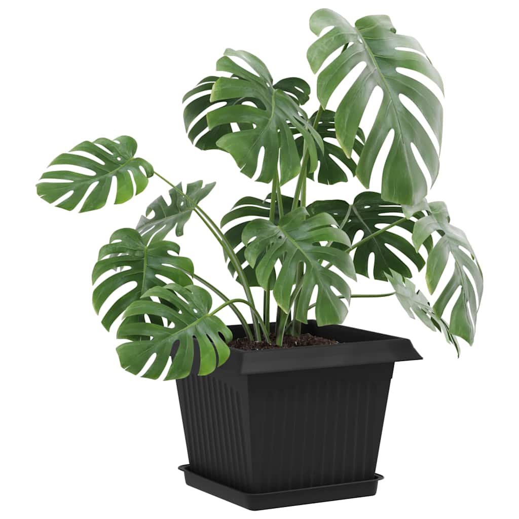 Plantenpotten 6 pcs Zwart 23 x 23 x 17,5 cm Kunststof