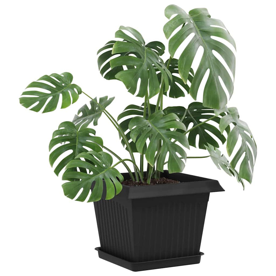 Plantenpotten 6 pcs Zwart 23 x 23 x 17,5 cm Kunststof