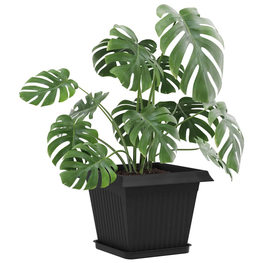 Plantenpotten 6 pcs Zwart 28,5 x 28,5 x 22 cm Kunststof