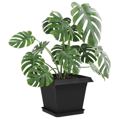Plantenpotten 6 pcs Zwart 33 x 33 x 26 cm Kunststof