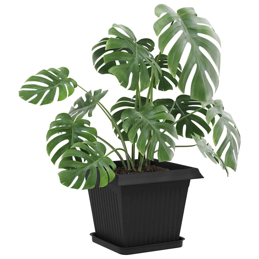 Plantenpotten 6 pcs Zwart 33 x 33 x 26 cm Kunststof